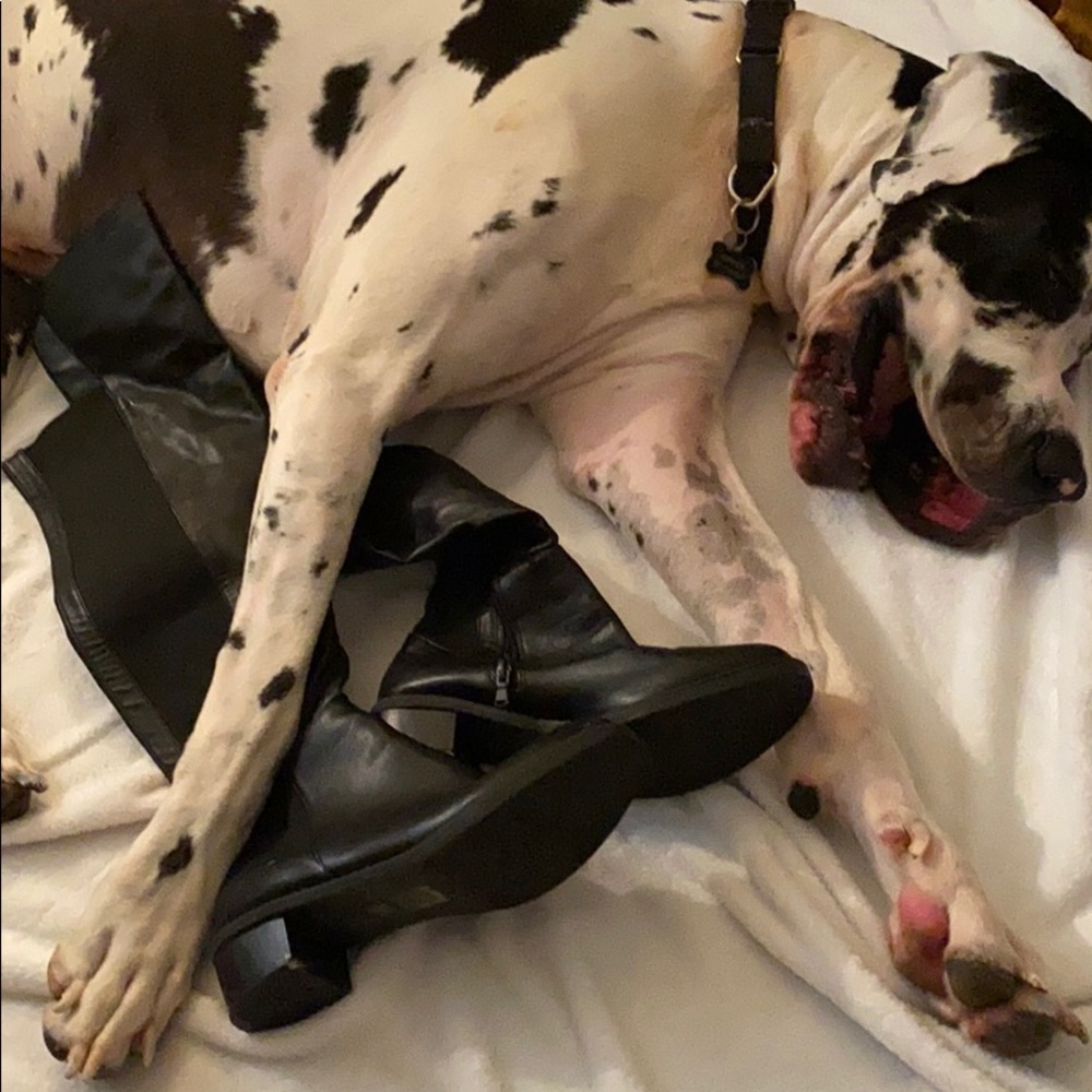 Knee Boots like new🐕